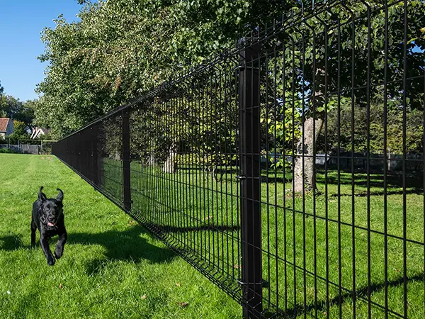 The green 3D security fences are surrounding the grassland and a dog is running.