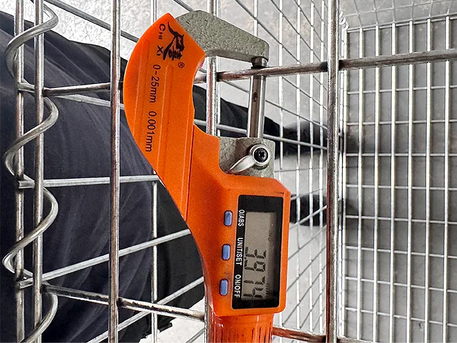 A QC worker is measuring the line wire diameter of welded gabion retaining wall.