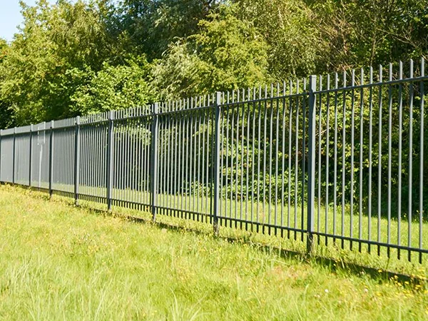 The palisade fences are installed in the park.