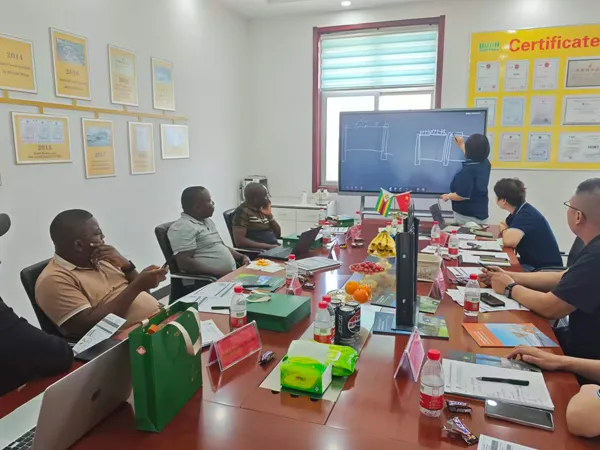 Technical meeting with Zimbabwe client